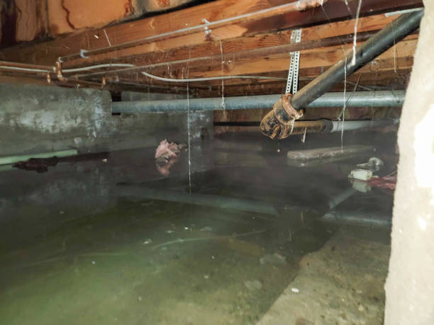 Professional Water damage restoration in AR