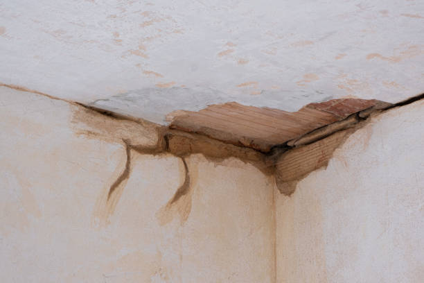 Best Mold removal after water damage  in Hot Springs Village, AR