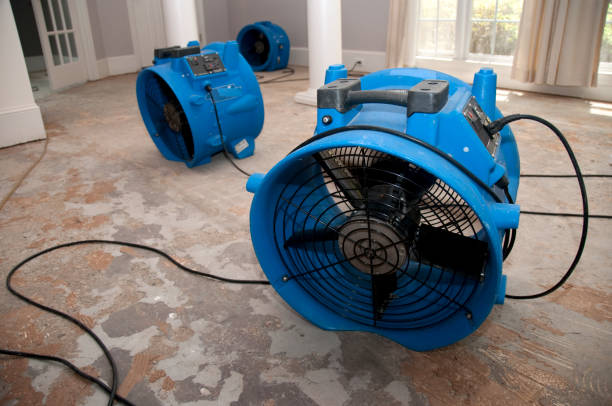 Best Water damage cleanup near me  in Hot Springs Village, AR