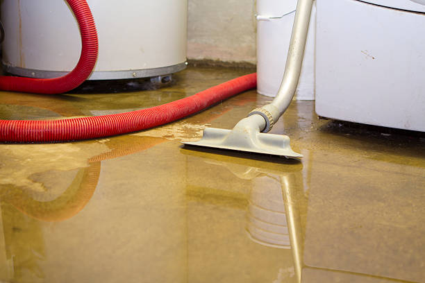 Best Sewage cleanup and water damage restoration  in Hot Springs Village, AR